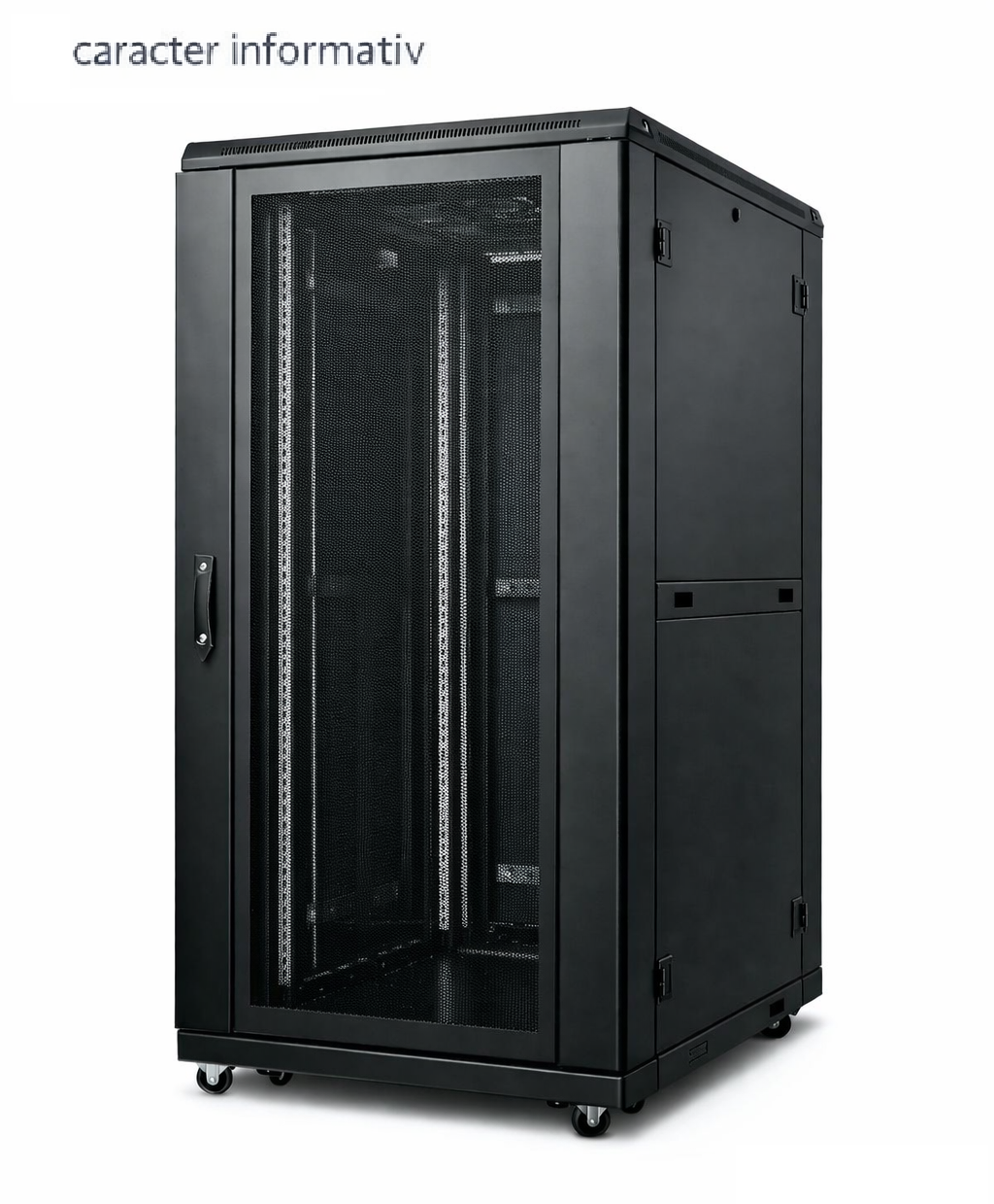 Rack-server-metal-cu-panouri-perforate_1.png Cabinet metalic neechipat 42U 800x1000 pentru retele - imagine 1
